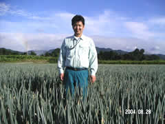 長ねぎ畑の松本さん
